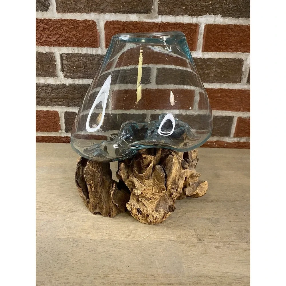 Cohasset Molten Terrarium Vase Glass Vase & Natural Wood Sculpture